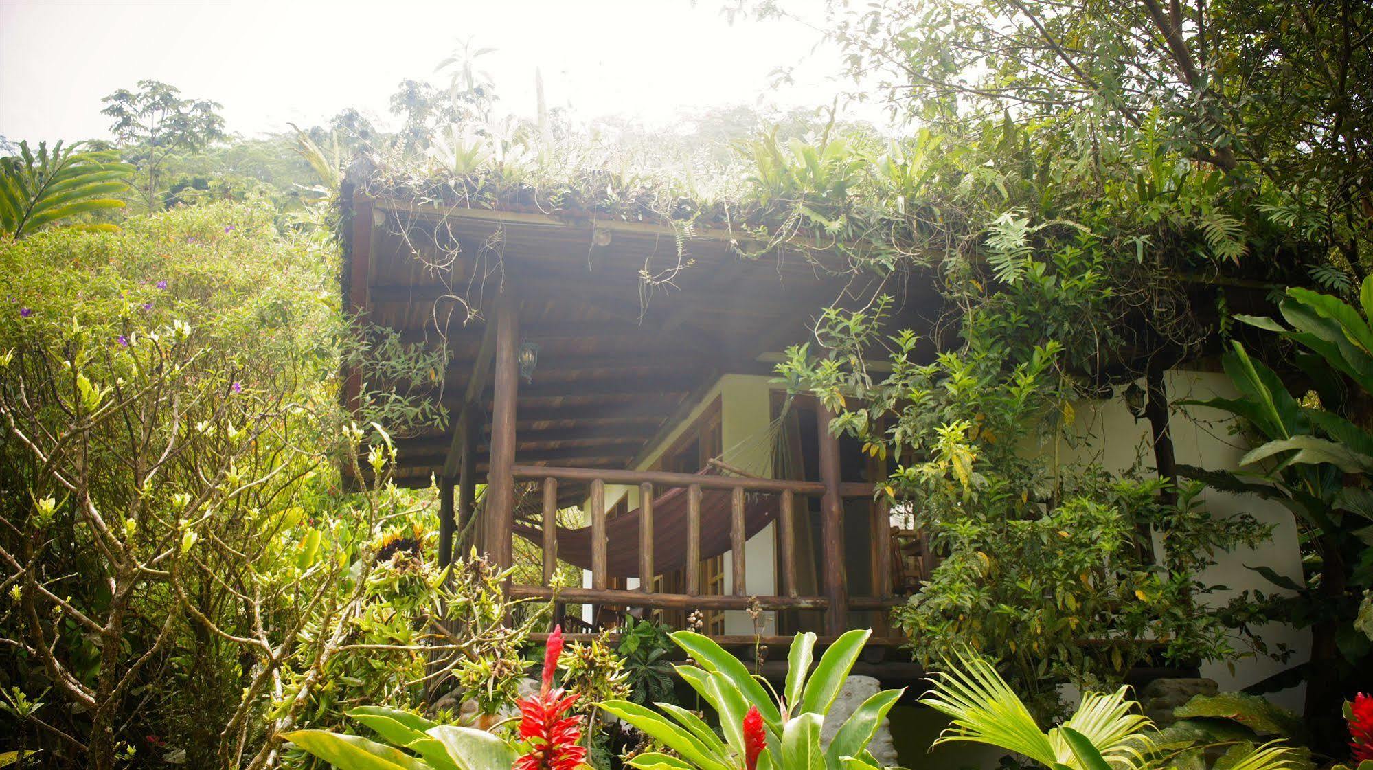 Rancho Margot Sustainable & Self Sufficient Eco Lodge El Castillo Kültér fotó